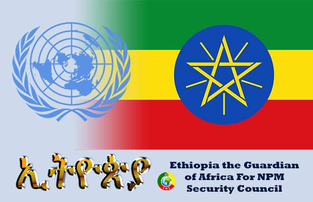 Ethiopia's timely bid for non-permanent seat at the UNSC