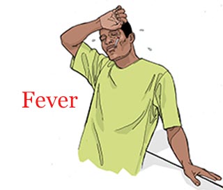 Ebola main symptoms, signs - high fever