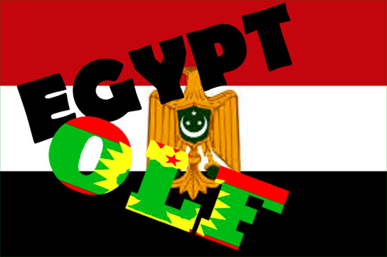 An Unholy Alliance � OLF and Egypt�s Government