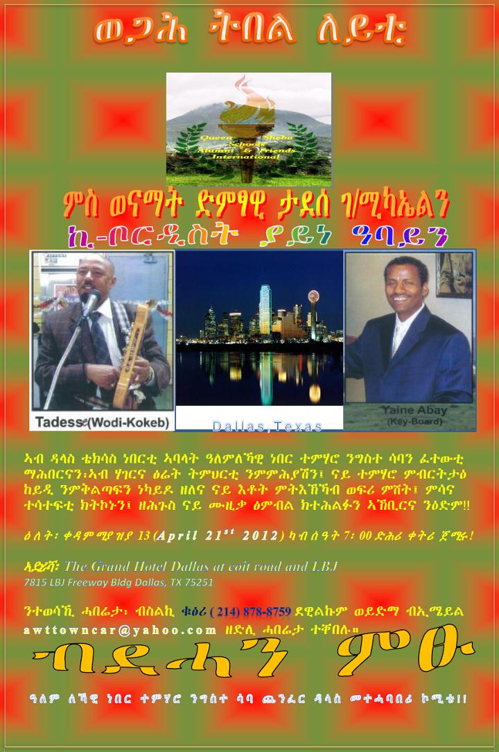 Tigrai Community in Denver party - Tigrai Online