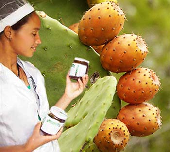 Ethiopian made cactus pear marmalade to be exported to Italy