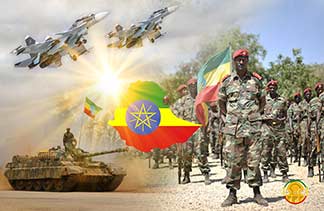 Ethiopia air and ground forces