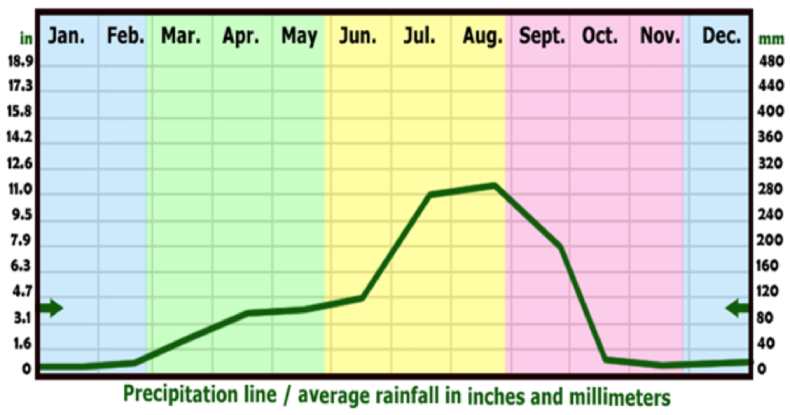 According to the Ethiopian climate and weather metrological data August is the rainier month