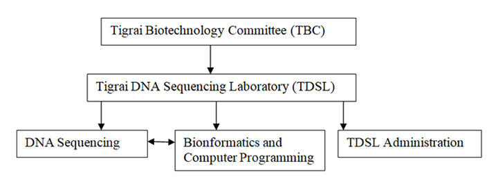 Apparatus and teams of the TDSL