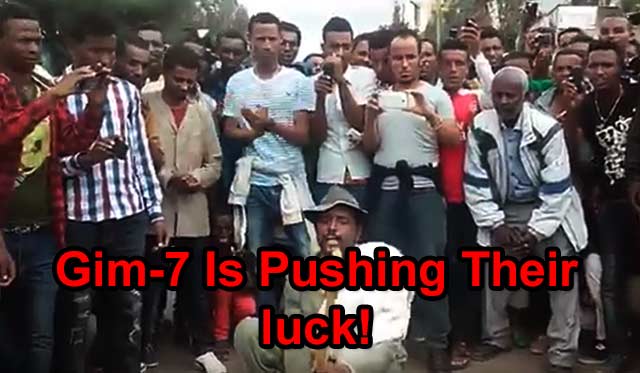 Amhara Extremists barking in Gonder Amhara Extremists barking in Gonder insult the people of Tigrai