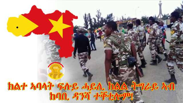 Two members of Tigrai Special Forces lost their lives around Dansha