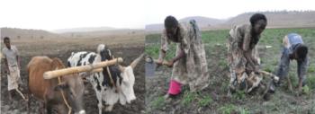 Tiblets's family is engaged in agriculture irrigation - Tigrai Online